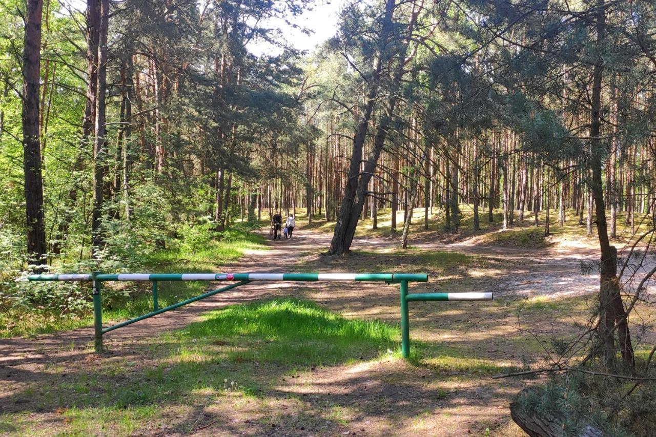 Camp Bursztynowy Las غدانسك المظهر الخارجي الصورة