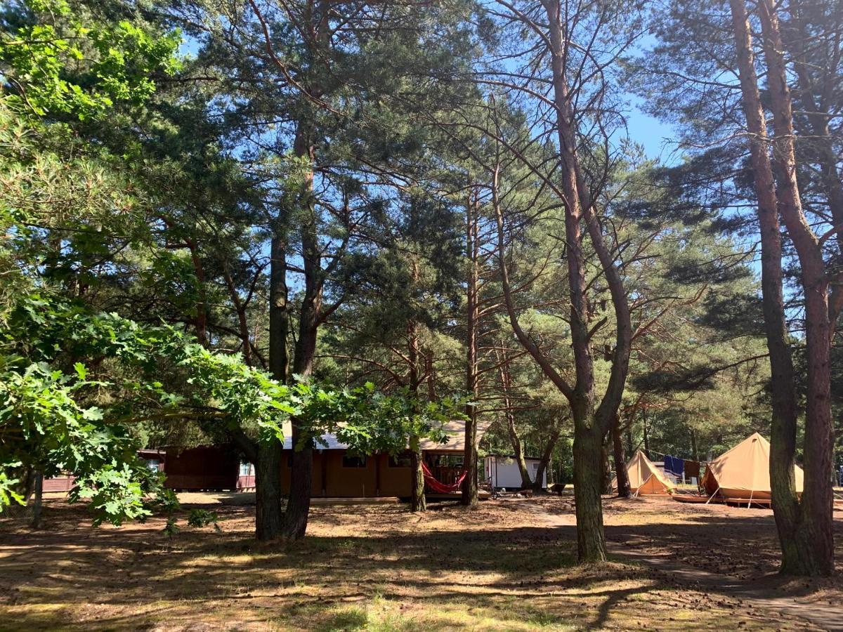 Camp Bursztynowy Las غدانسك المظهر الخارجي الصورة